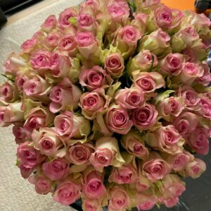 Fleurs fraîches: le bouquet de roses roses